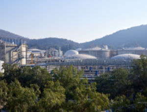 Usine verte