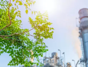 Décarbonation avec arbre et en arrière plan industrie avec cheminée