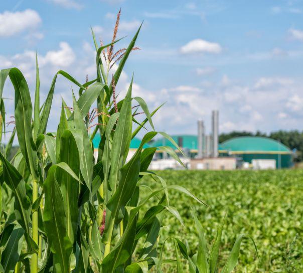 Biomasse - méthanisation agriculture