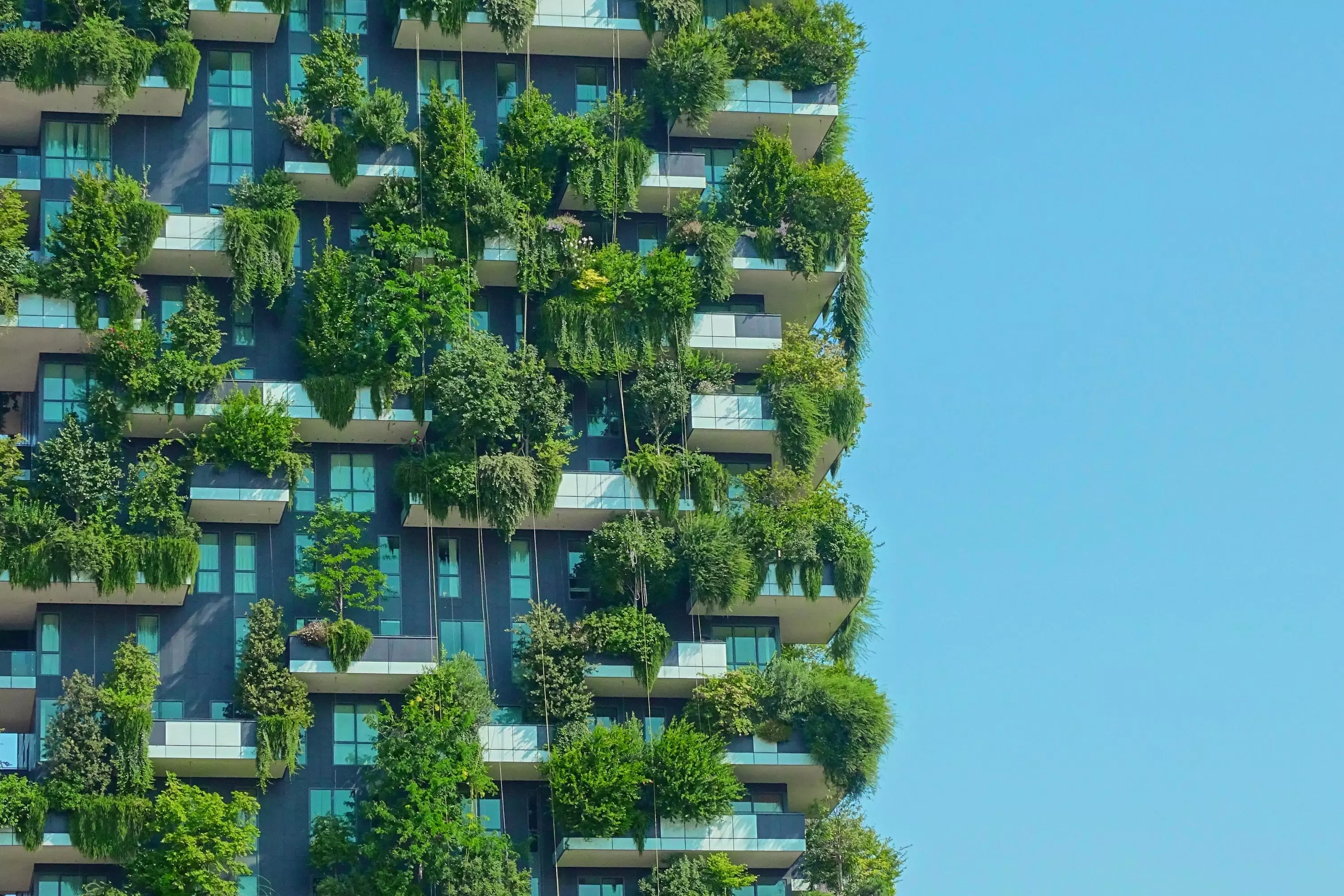 Image d'un bâtiment moderne avec de la verdure 