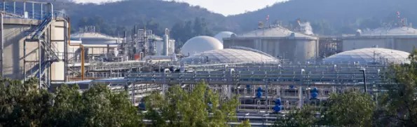 Usine entourée de verdure