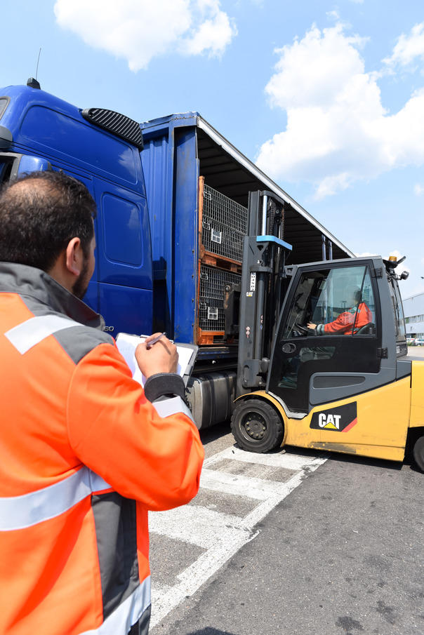 logistique chargement camion bleu