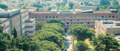 Secteur tertiaire