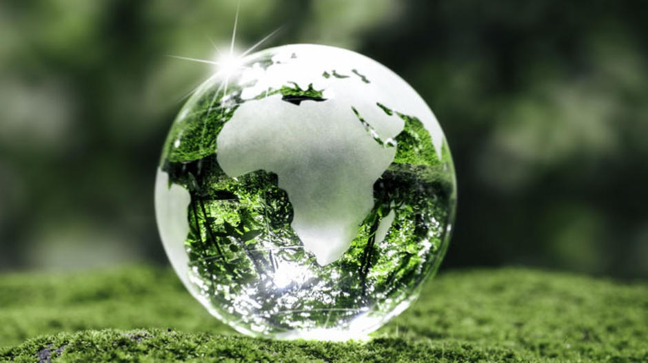 Biodiversité