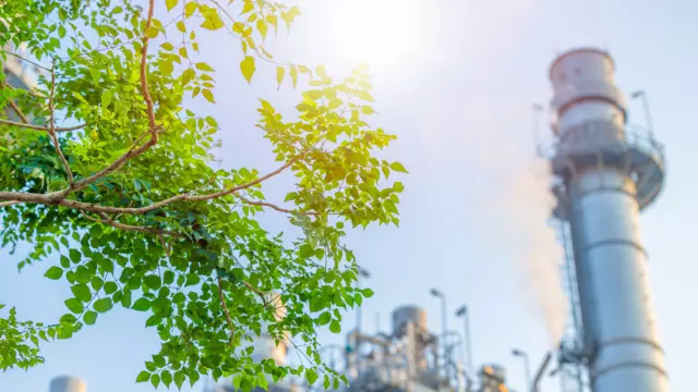 Décarbonation avec arbre et en arrière plan industrie avec cheminée